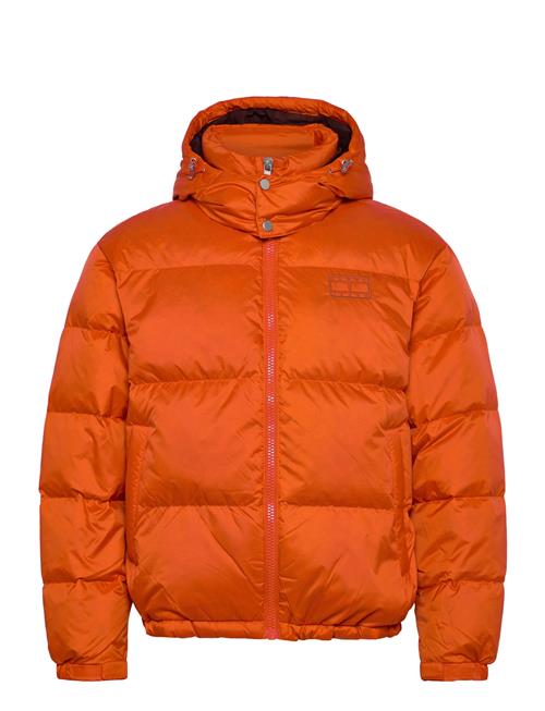 Tommy Jeans | Tjm Alaska Down Puffer Ext | L