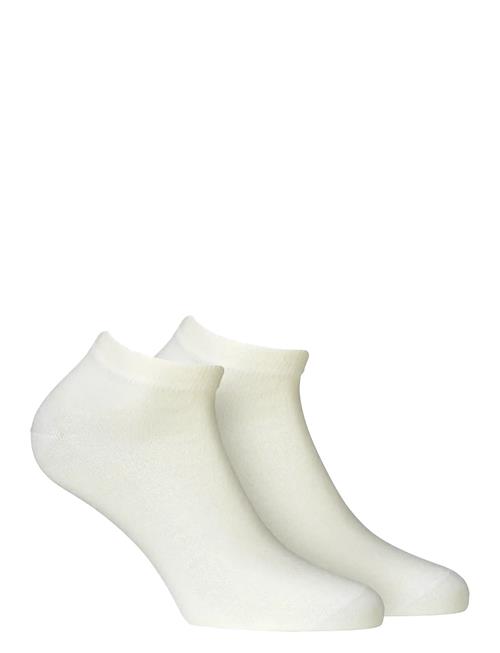 Alpacasocks&Co | Merino Lifestyle Ankle 2-Pack | 35-37