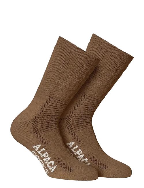 Alpacasocks&Co | Alpacasocks 2-Pack | 35-37