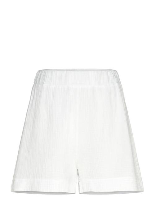 Noella | Layne Shorts | XS/S