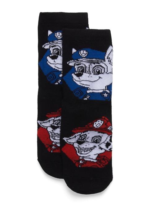 Paw Patrol | Socks | 23/26