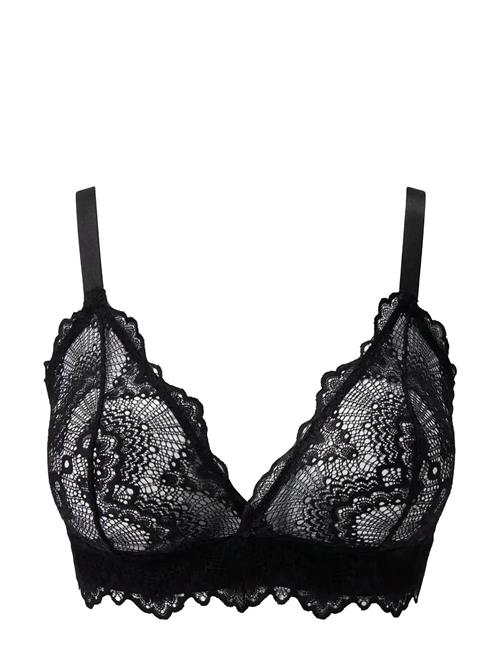 Understatement Underwear | Lace Triangle+ Bralette | XL