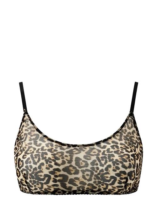 Understatement Underwear | Mesh Scoop Bralette | XS