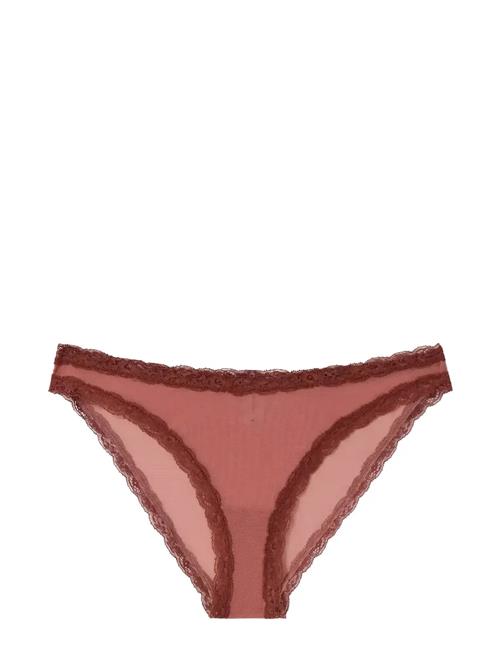 Understatement Underwear | Mesh Lace Trim Bikini Briefs | XXL