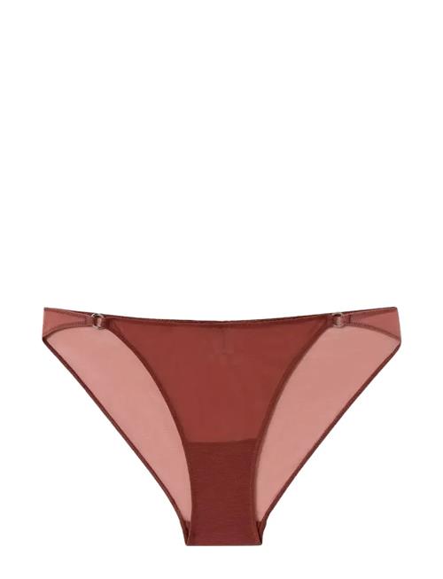 Understatement Underwear | Mesh Tanga Briefs | XL