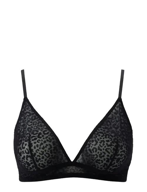 Understatement Underwear | Mesh Triangle Bralette | XXL