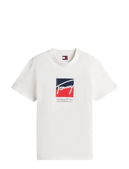 Tommy Jeans | Tjm Reg Rwb Dna Tee | M