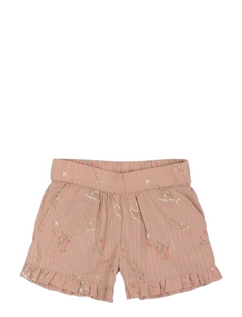 The New | Tnstoline Shorts | 110