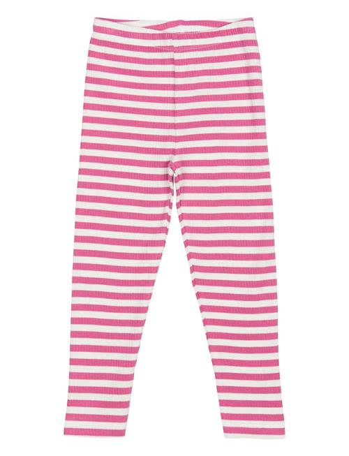 The New | Tnstfro Rib Leggings | 92