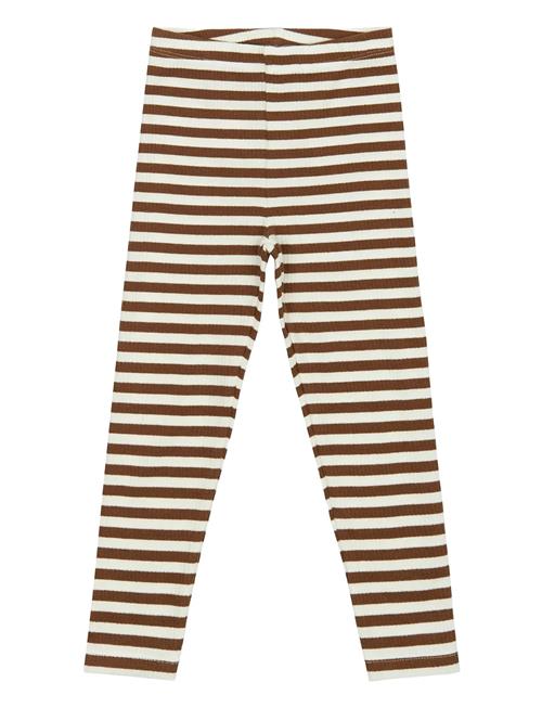 The New | Tnstfro Rib Leggings | 86