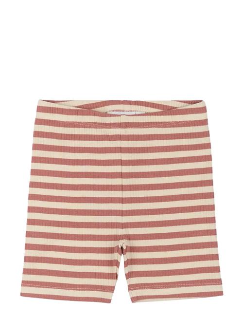 The New | Tnstfro Uni Rib Shorts | 104