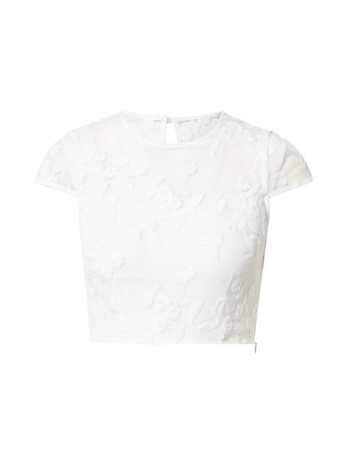 Coast Shirts  offwhite