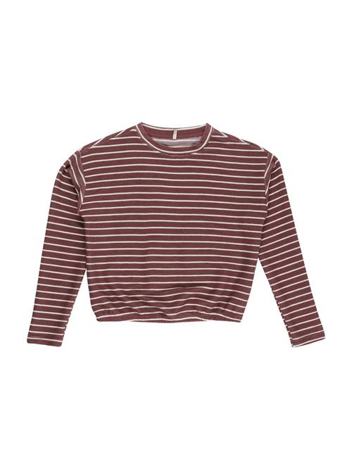 ONLY GIRLS Bluser & t-shirts  brun / hvid