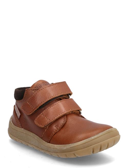 ANGULUS | Shoes - Flat - With Velcro | 23