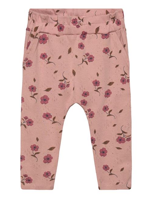 The New | Tnsbpicole Pointelle Pants | 74