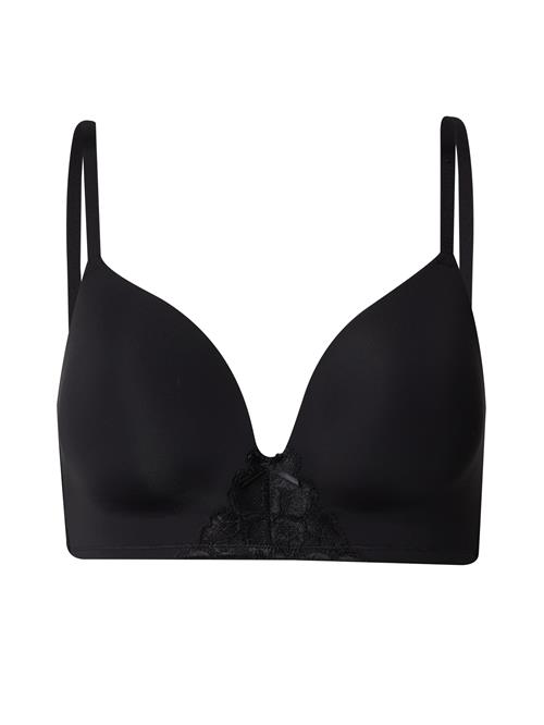 Dorina BH 'Amar'  sort