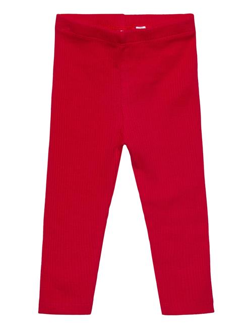 The New | Tnsbrianna Rib Leggings | 80