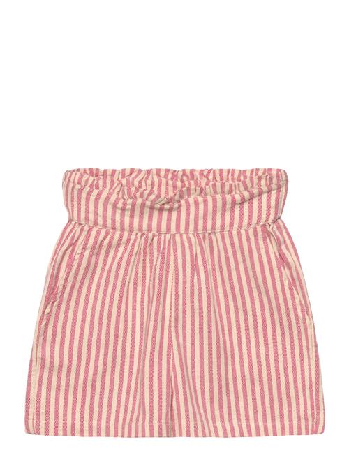 The New | Tnpaige Shorts | 146/152