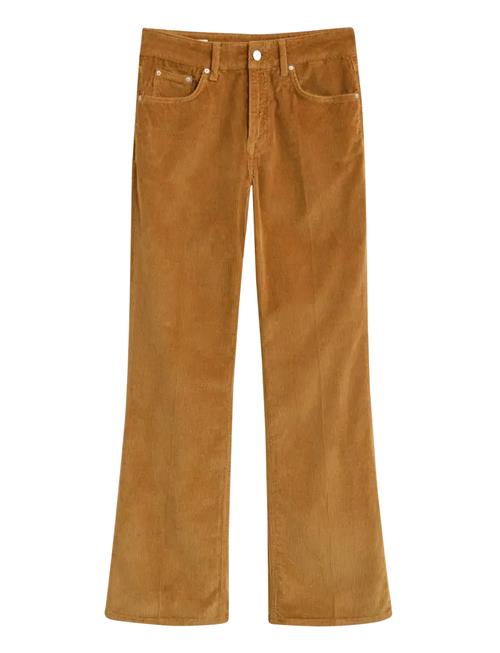 Gant | Corduroy Flare Jeans | 31