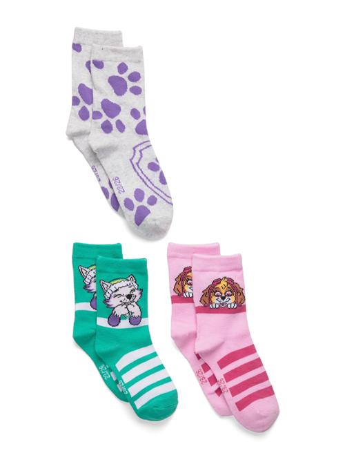 Paw Patrol | Socks | 23/26