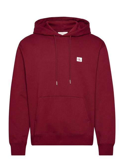 Calvin Klein Jeans | Ls 350Terry Eu Whsl Badge Hoodie | L