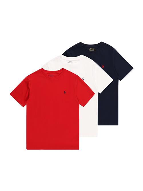 Polo Ralph Lauren Shirts  navy / rød / hvid