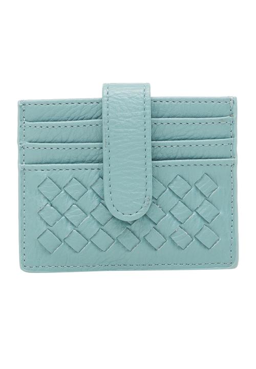 Usha Etui  aqua