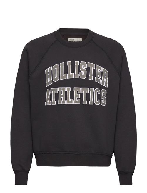 Hollister | Hco. Guys Sweatshirts | M