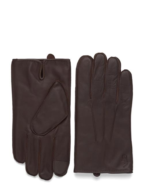 Polo Ralph Lauren | Insulated Sheepskin Touch Screen Gloves | S