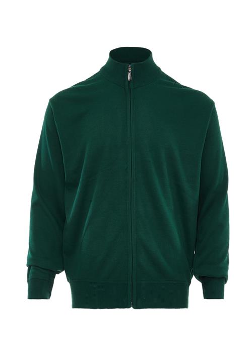 RAIDO Cardigan  grøn