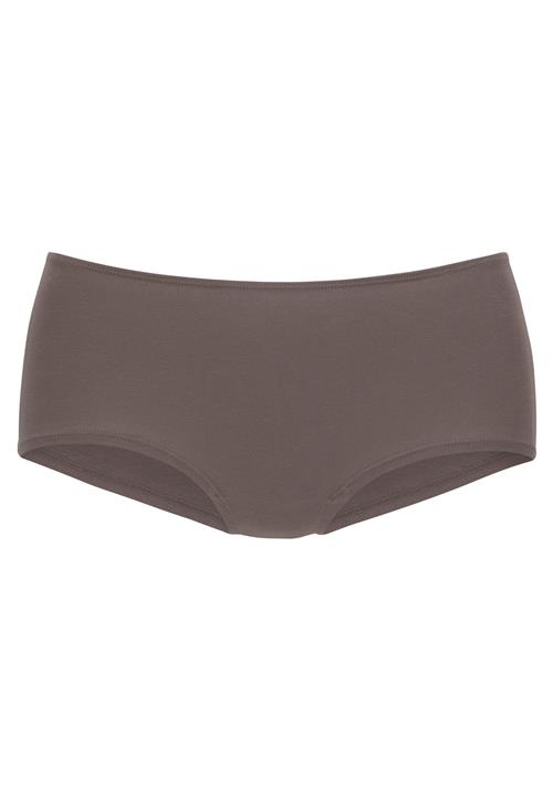 VIVANCE Panty  brun / antracit / sort / hvid