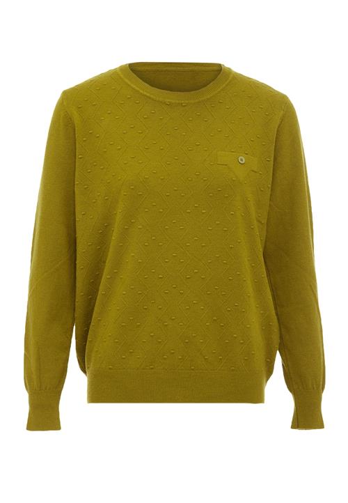 LUREA Pullover  oliven