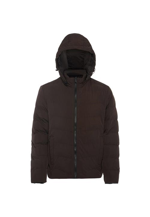 BRAELYN Vinterjakke  mørkebrun / sort