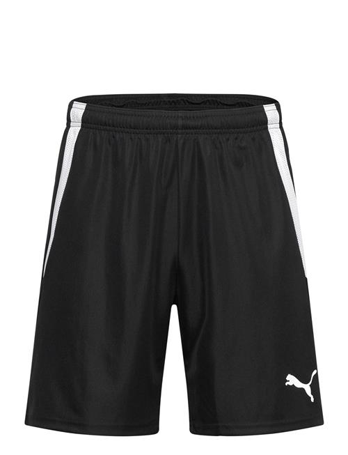 PUMA | Teamliga Shorts | L