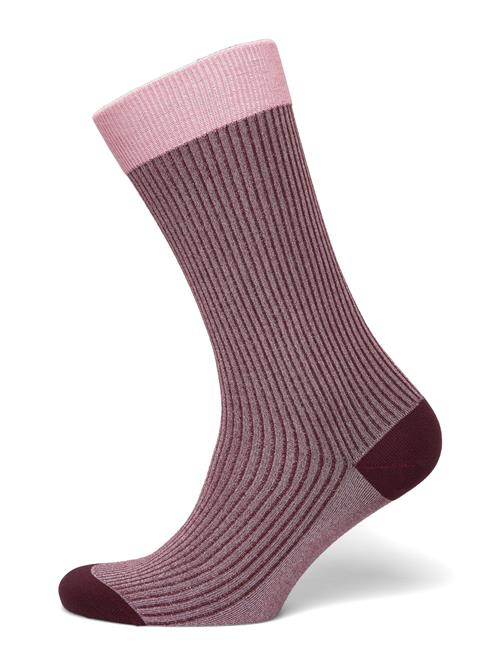 Copenhagen Studios | Cph Socks 8 Cotton Blend Burgundy | 39-42