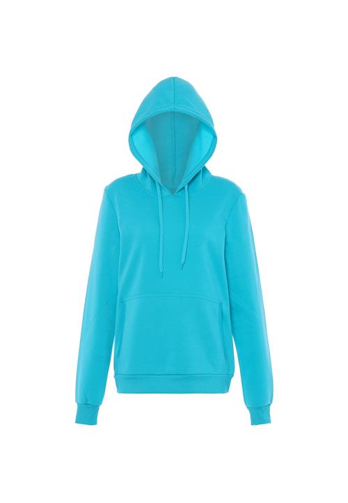 Se NALLY Sweatshirt  aqua hos About You
