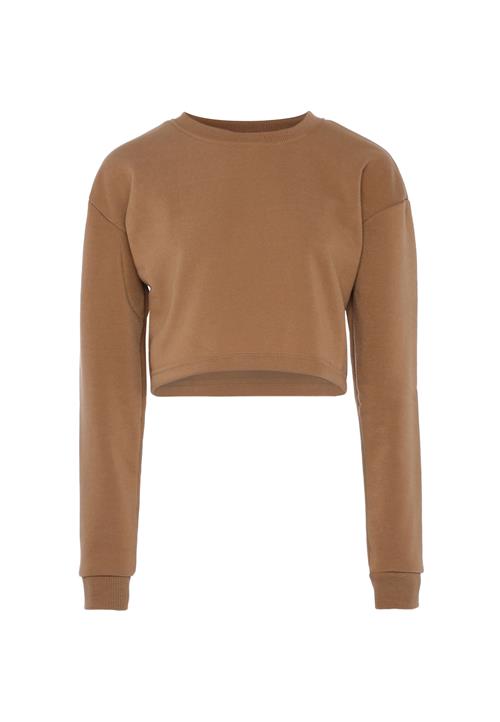 SANIKA Sweatshirt  brun