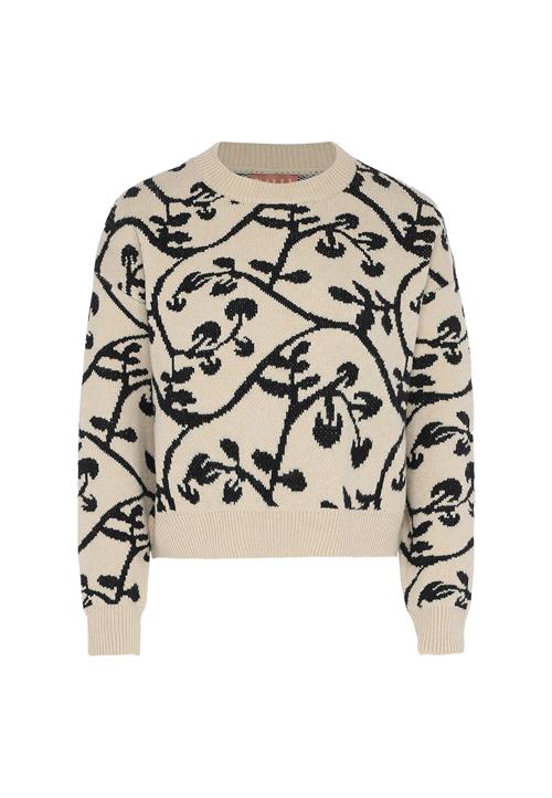 NALLY Pullover  beige / sort