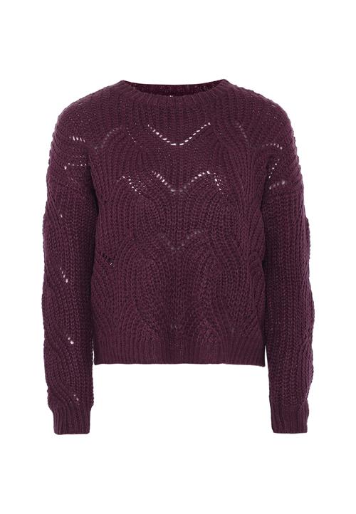 Se Jalene Pullover  aubergine ved About You
