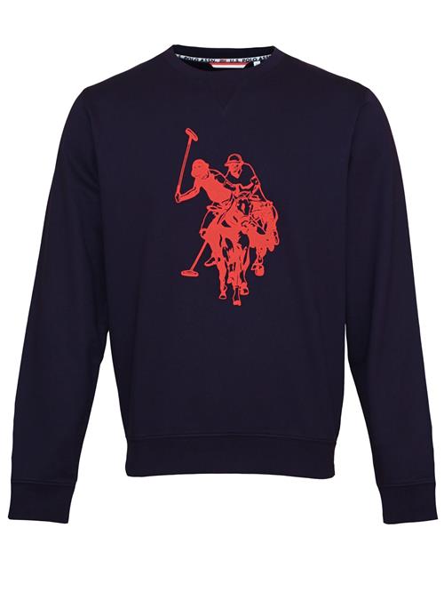 U.S. POLO ASSN. Sweatshirt  navy / rød
