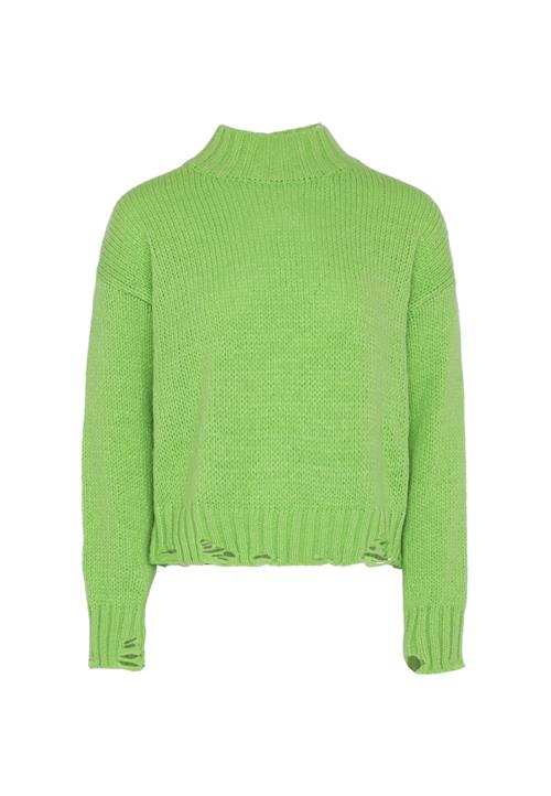 Gaya Pullover  lime