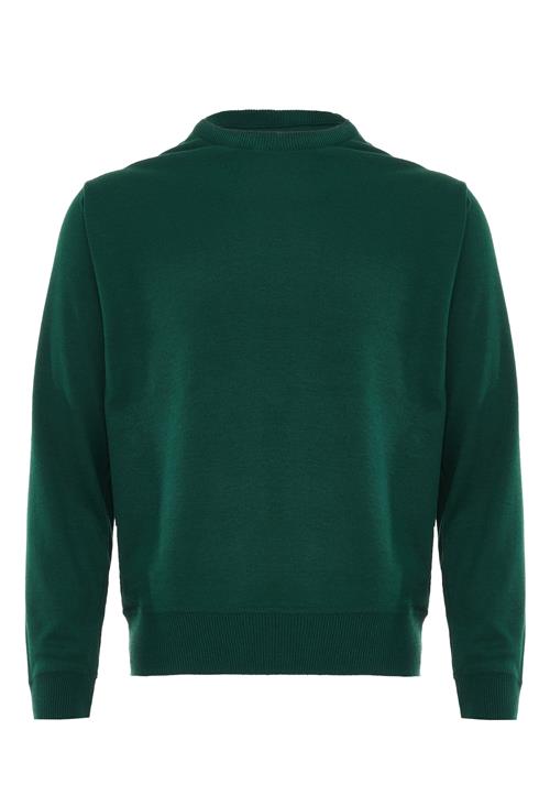 IPARO Pullover  mørkegrøn