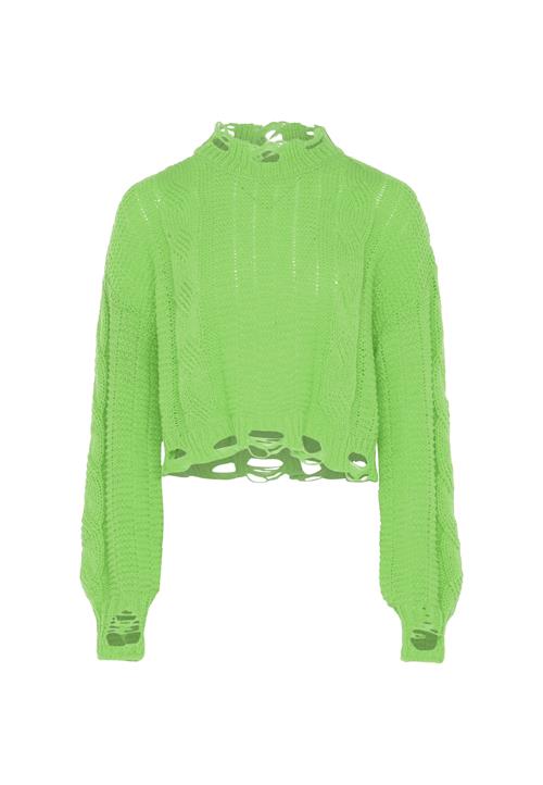 Gaya Pullover  lime