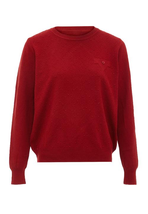 LUREA Pullover  mørkerød