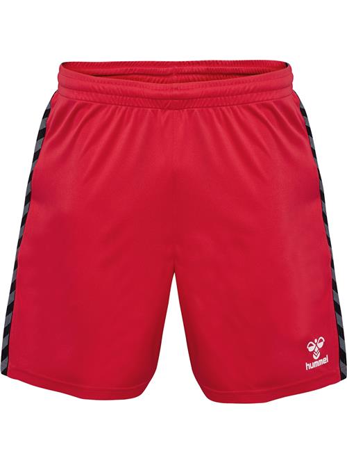 Hummel Sportsbukser 'Authentic'  mørkegrå / brandrød / sort / hvid