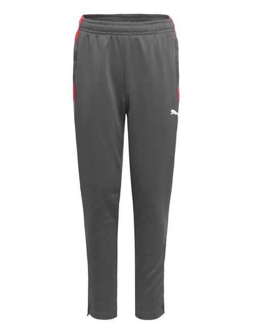 PUMA | Individualliga Training Pants Jr | 164