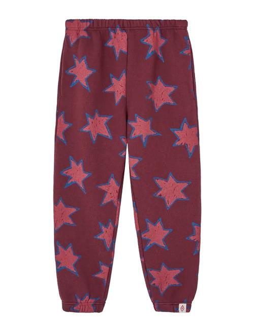 THE ANIMALS OBSERVATORY | Stars Dromedary Sweatpants | 6 Y
