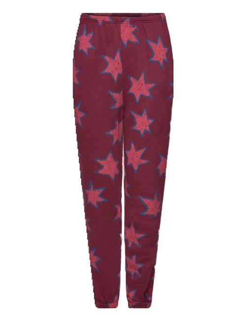 THE ANIMALS OBSERVATORY | Stars Dromedary Sweatpants | 12 Y