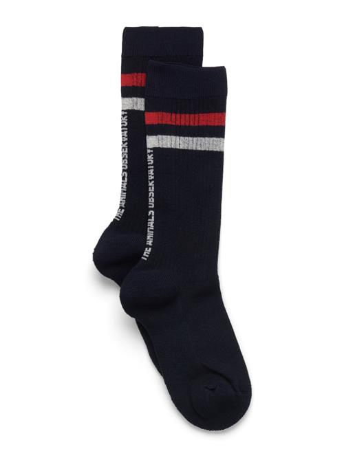THE ANIMALS OBSERVATORY | Navy Skunk Socks | 27/30