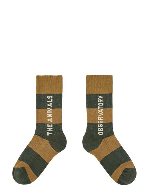 THE ANIMALS OBSERVATORY | Brown Worm Socks | 35/38